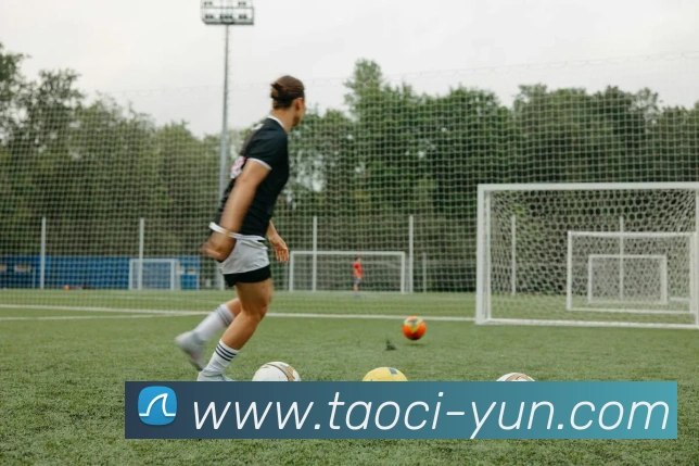 ts米兰官网入口APP 封面图